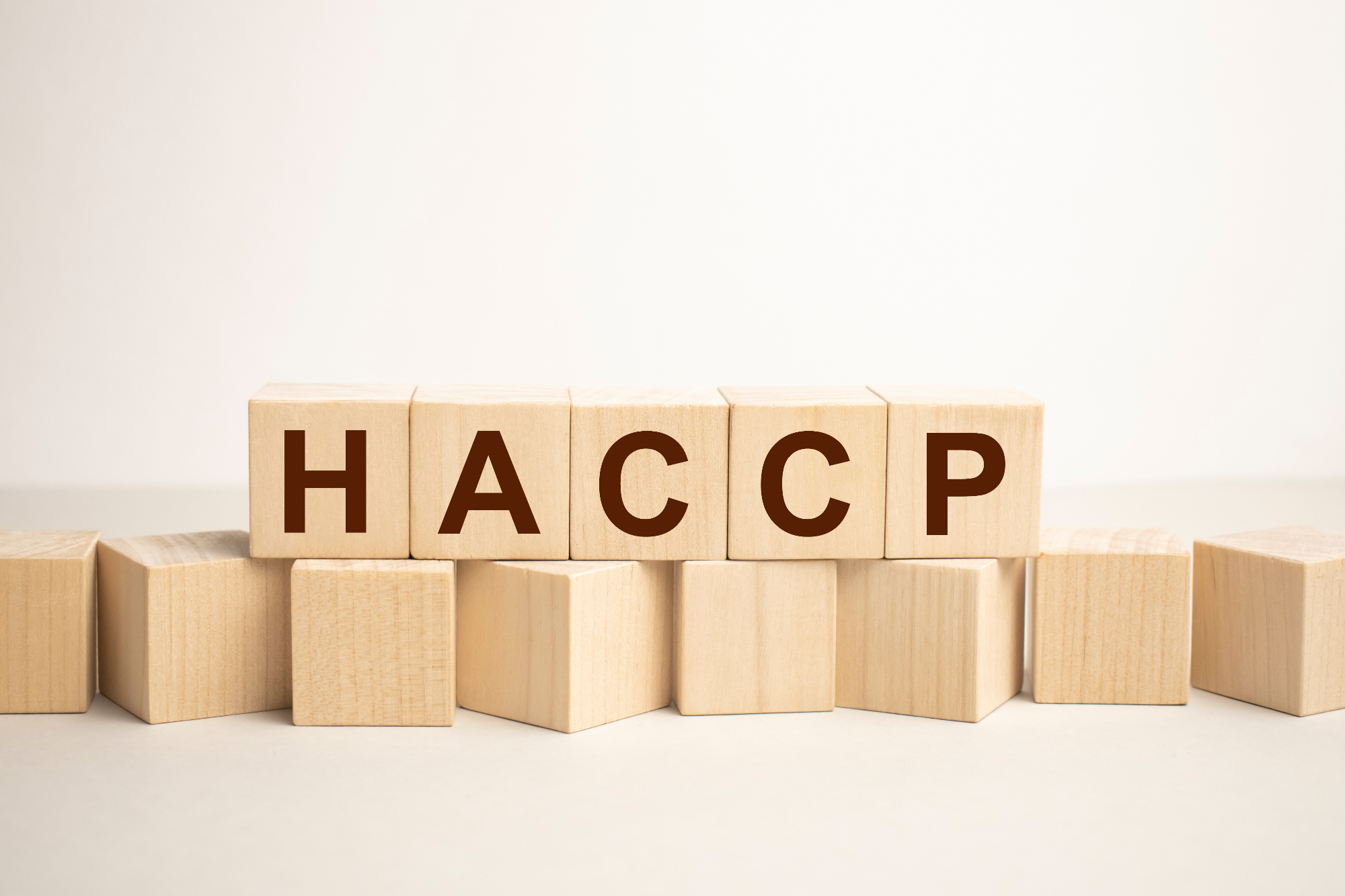 Moji izzivi pri uvajanju HACCP standardov in kako sem jih premagal
